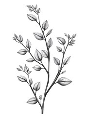 Fototapeta premium Detailed grayscale illustration of leaves and branches