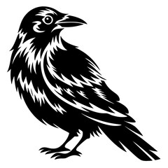 Stylized black raven illustration with detailed feathers and sharp beak design