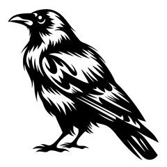 Striking black and white raven illustration with stylized feather detail and posture