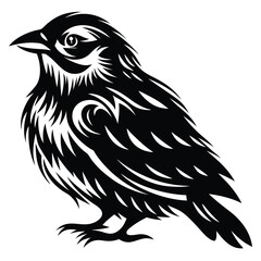 Stylized Black and White Bird Illustration with Intricate Feather Designs