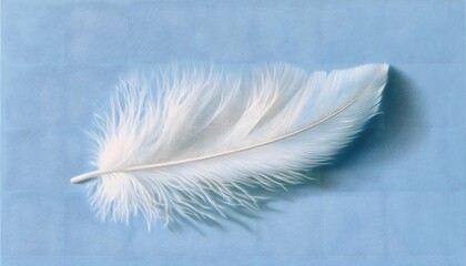 Obraz premium Delicate white feather resting on a light blue surface.