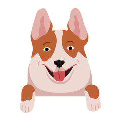 Dog hanging on border. Portrait of muzzles with paws. Front view. Flat  design