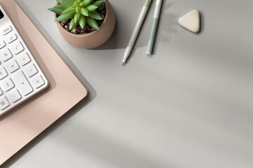 A morning desktop with a notebooks, keyboard, pens and plant on a light gray surface with sunlight from the window.