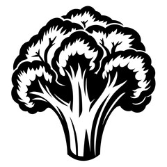 Monochrome graphic illustration of a broccoli floret with healthy benefits