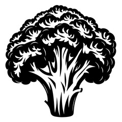 Monochrome Illustration of Broccoli, a Healthy and Nutritious Vegetable for Consumption