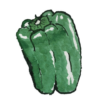 Watercolor illustration of bell peppers like a picture postcard　絵手紙のようなピーマンの水彩イラスト
