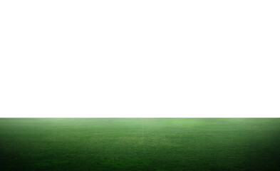 green grass field over white background	