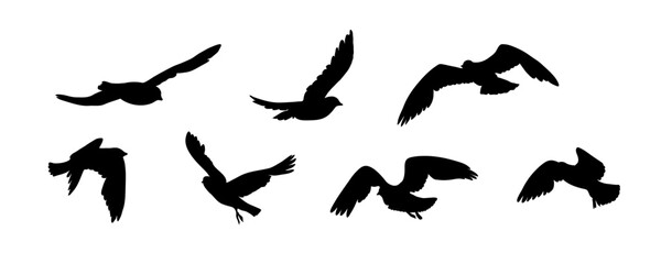 Silhouette of Birds. Black flying birds. Flock of Birds isolated on white background. Graceful avian outlines.