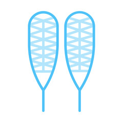 Snowshoes flat icon