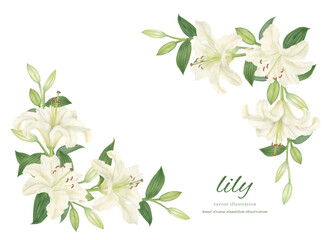 White lily cartoon painted in watercolor