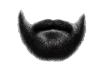 Black silhouette of a man's face wearing a distinctive long beard. Isolated on transparent background.