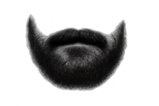 Black silhouette of a man's face wearing a distinctive long beard. Isolated on transparent background.