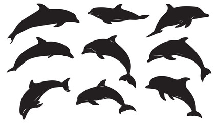 Dolphin Silhouettes