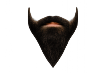 A man's long beard and mustache isolated on transparent background.
