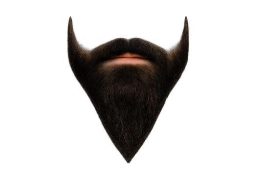 A man's long beard and mustache isolated on transparent background.