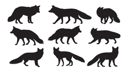 Fox Silhouettes 9 Black  White Images