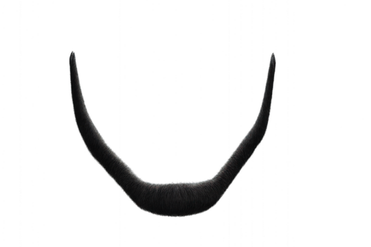 PNG image of a black beard with a long tail, isolated on transparent background.