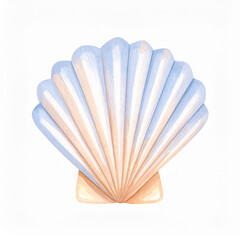 Pink pearl necklace and shell isolated on white background