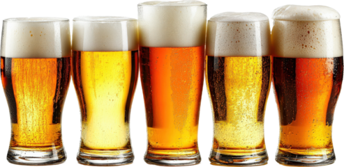 Different Types of Beer in Glasses