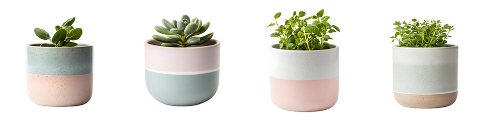 Stylish planters showcasing diverse succulent arrangements in contemporary pastel colors, ideal for...