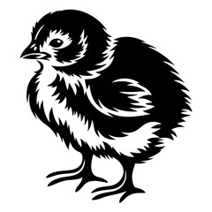 Adorable Black and White Chick Illustration Fluffy Baby Bird Graphic Design Element