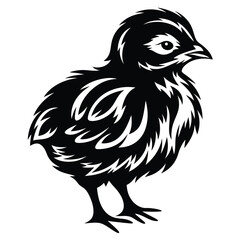 Stylish Black and White Illustration of a Fluffy Baby Chick Bird