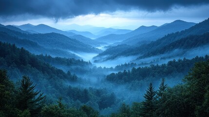 Obraz premium Misty mountain valley at twilight