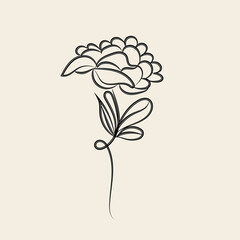 Elegant Minimalist Line Art Flower Drawing Botanical Illustration