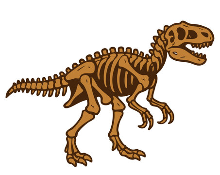 Dinosaur fossil bones skeleton. Vector rex spine illustration