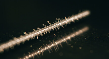 Naklejka premium Microscopic Frost Crystal Formation on Reflective Surface