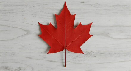 Red maple leaf on rustic white wood, minimal Canada Day flat lay