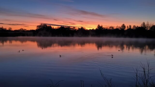 A serene lake at sunrise, with warm tones of orange and purple reflecting on the still water. Mist rises gently from the surface, while silhouettes of trees frame the horizon. Several ducks glide acro