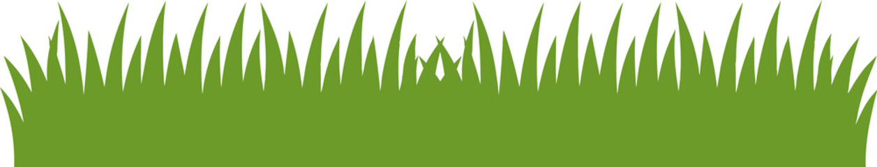Green Grass Border PNG – Fresh Nature Border with Transparent Background, Lawn and Garden Edge Illustration for Design