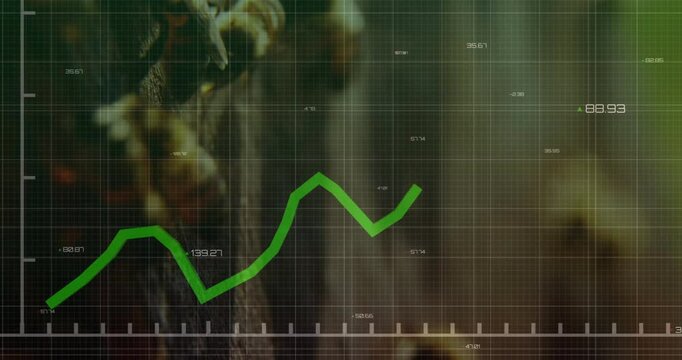 Green jagged line graph rising across grid overlay, numeric labels hovering over foliage and bee
