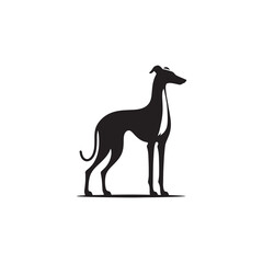 Elegant Azawakh Dog Silhouette Vector – Sleek, graceful African breed outline perfect for pet-themed designs, digital art, merchandise, breed-specific projects, decals, and creative ventures.
