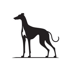 Elegant Azawakh Dog Silhouette Vector – Sleek, graceful African breed outline perfect for pet-themed designs, digital art, merchandise, breed-specific projects, decals, and creative ventures.
