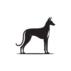 Elegant Azawakh Dog Silhouette Vector – Sleek, graceful African breed outline perfect for pet-themed designs, digital art, merchandise, breed-specific projects, decals, and creative ventures.
