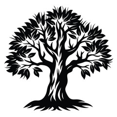 Magnificent Silhouette of a Large Tree with Full Leaves and Robust Roots