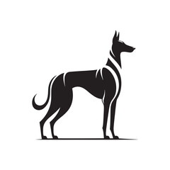 Obraz premium Elegant Azawakh Dog Silhouette Vector – Sleek, graceful African breed outline perfect for pet-themed designs, digital art, merchandise, breed-specific projects, decals, and creative ventures. 