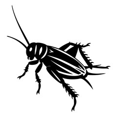 Detailed Black and White Illustration of a Cricket Insect with Long Antennae