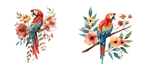 cute macaw and flower watercolor vector illustration © Dar