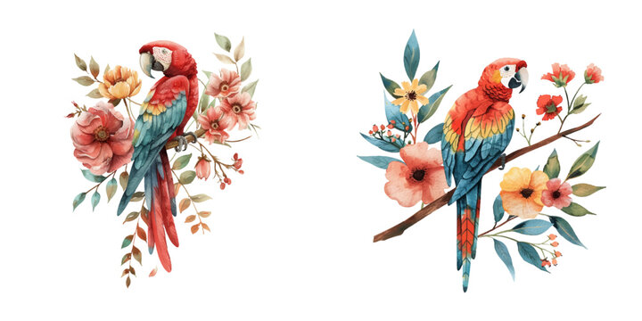 cute macaw and flower watercolor vector illustration