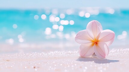 White plumeria flower resting on soft sand with turquoise sea sparkle. Ideal for wellness, travel or tropical concept