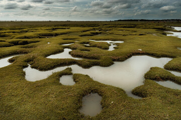 Landscape of the river