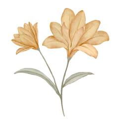 autumn leaves watercolor