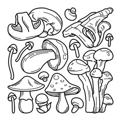 Collection of Hand Drawn Mushroom Doodles
