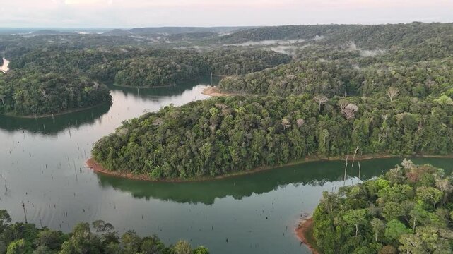 Amazon rainforest birdeye's view shot with DJI Mini 4 pro, 1920 x 1080, 60 FPS, this was shot in The Balbina Dam in Brazil's Amazon rainforest
