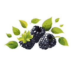 blackberry with leaves falling vector icon graphic design