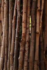 Closeup wooden twig fence texture,log fence, frequencies, place under text, use as background or texture