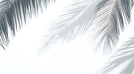 Obraz premium Palm fronds cast shadows on a white textured wall creating a clean, minimalist, and tropical ambiance in a high-key lighting environment, suitable for backgrounds or design elements.